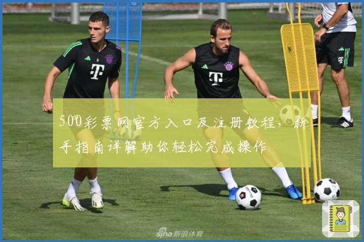 500彩票网官方入口及注册教程，新手指南详解助你轻松完成操作