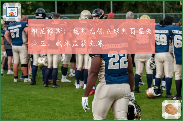 维尼修斯：裁判无视点球判罚显失公正，我本应获点球