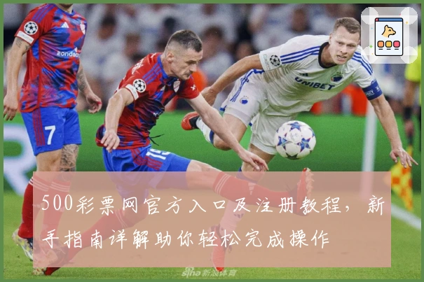 500彩票网官方入口及注册教程，新手指南详解助你轻松完成操作